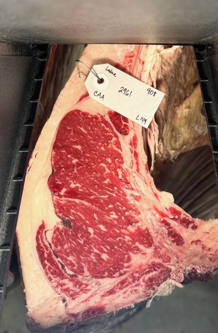 Dry-aging bone-in Akaushi ribeye with hanging tag